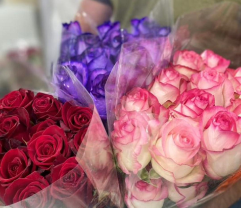 زیبایی رنگ ها در رز حافظ