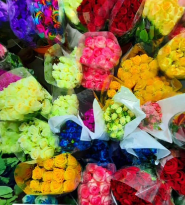 تنوع در رنگ