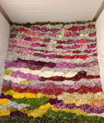 تنوع در ریز بار حافظ