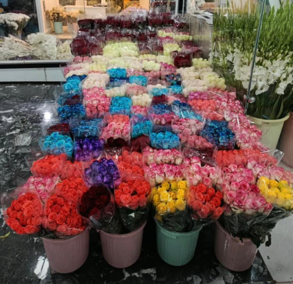 بهترین کیفیت در رز حافظ